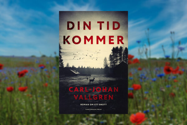Sommarläsning, Carl-Johan Vallgren, boktips, lästips,