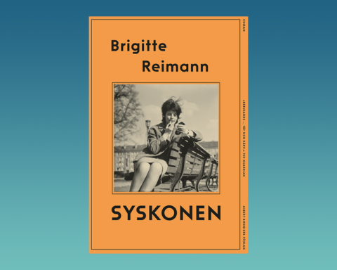 DDR, Syskonen av Brigitte Reimann, Östtyskland, roman, tyskspråkig litteratur, 1900-talshistoria