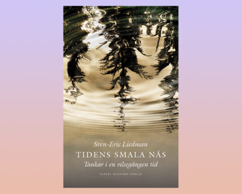 ESSÄER. ”Sven-Eric Liedman skriver underhållande och han är både kunskapsrik och ödmjuk. Med sina essäer skapar han ordning och reda i tankesmedjan,” skriver Bo Bjelvehammar.Sven-Eric Liedman, politik, socialism, svensk politik, välfärden, essäer, essäistik