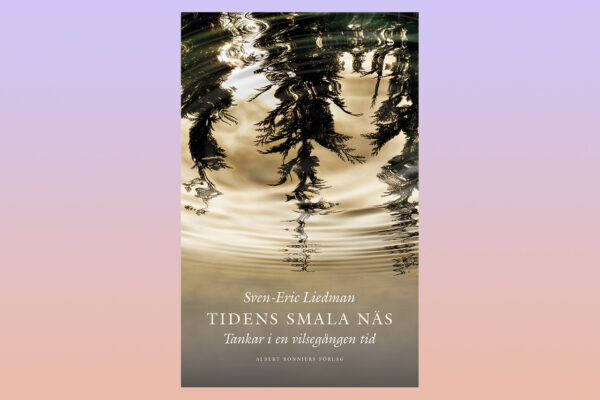 ESSÄER. ”Sven-Eric Liedman skriver underhållande och han är både kunskapsrik och ödmjuk. Med sina essäer skapar han ordning och reda i tankesmedjan,” skriver Bo Bjelvehammar.Sven-Eric Liedman, politik, socialism, svensk politik, välfärden, essäer, essäistik