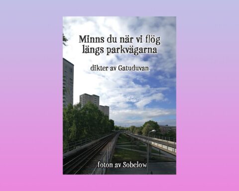 LYRIK. Lis Lovén har läst Gatuduvans senaste diktsamling och tycker att dikterna är skrivna utifrån ett lyckat lyriskt recept.